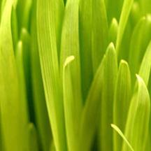 ddos在线攻击工具