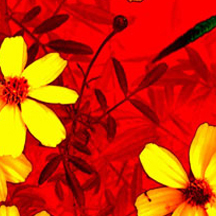 求推荐个免费ddos在线攻击